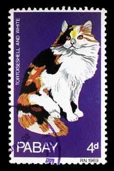 Stamp issued in Pabay shows Tortoiseshell And White Cat, circa 1969.