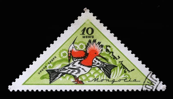 Stamp printed in Mongolia, shows Eurasian Hoopoe (Upupa epops), Birds, series, circa 1961.