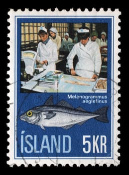 Stamp issued in Iceland shows Haddock (Melanogrammus aeglefinus), Icelandic Fishing Industry, circa 1971.