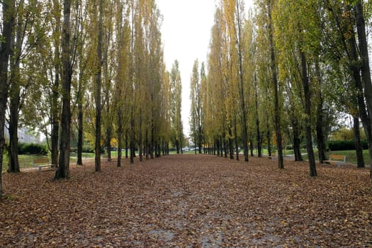 Park in Malesnica residential area, Zagreb, Croatia