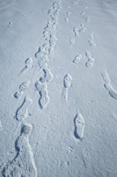 Fresh snow with morning sunlight with foot prints. Selective focus.