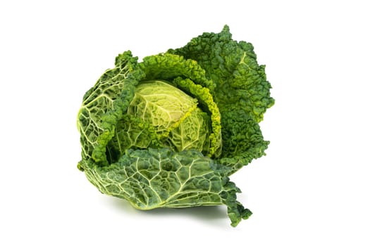 Savoy Cabbage, close up of fresh vegetable on white background