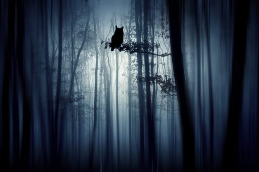 Enchanted forest in magic, mysterious fog at night..