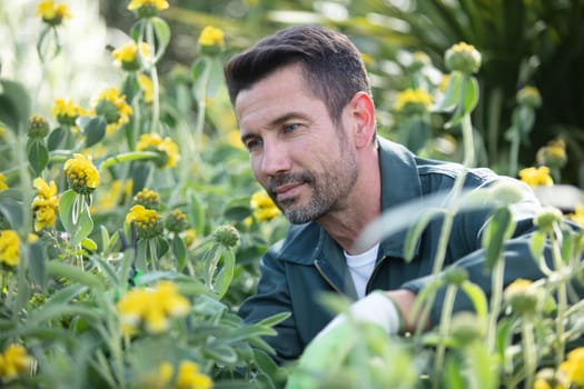 planting flowers in a beautiful green garden