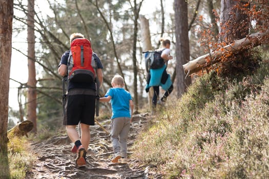 Rear view of unrecognizable young active family hiking together on mountain forest trackin in fall. Parents wearing backpacks and child toys. Active lifestyle in nature concept.