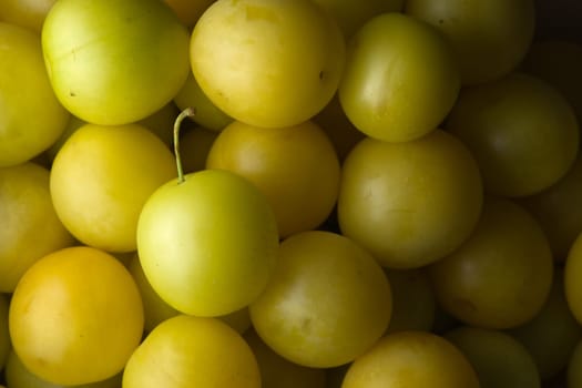 8 - Medium shot of many yellow mirabelle plums, ready to eat. One has a stalk left in. Vibrant color and directional lighting creates texture.
