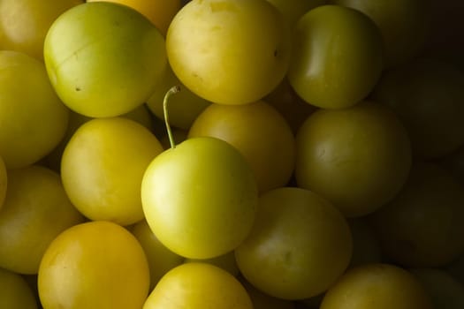 2 - Darker full frame food background. Freshly harvested yellow mirabelle yellow plums or prunes. Round and vibrant, ripe and ready to eat.