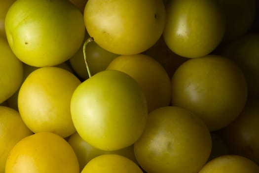 6 - Large heap of yellow mirabelle plums or prunes. Softly lit monochromatic fruity food related background. Natural and organic condition.