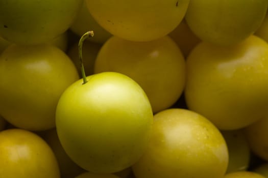 5 - Close up macro image of yellow mirabelle home grown plums. Fresh seasonal harvest of ripe and ready to eat fruit.