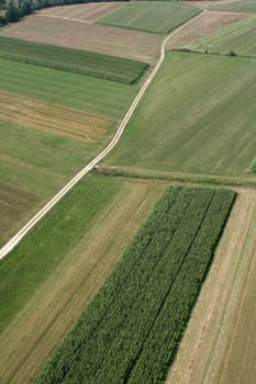 Meadows and fields. Aerial image