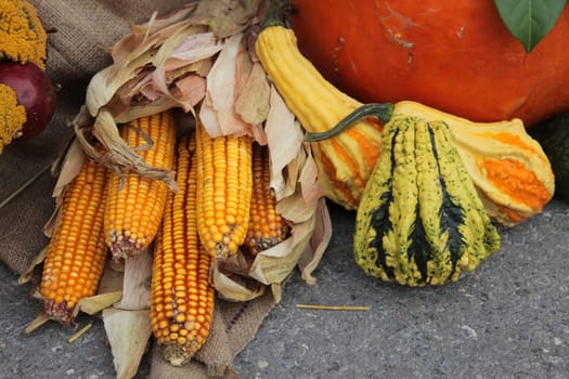 Corn cobs