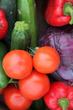 Autumn Harvest