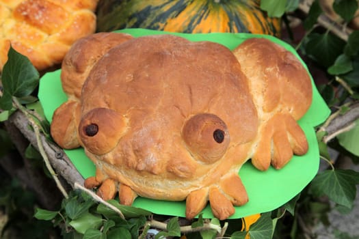 Frog bread