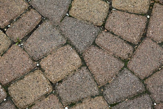 Stone Paved Garden Path