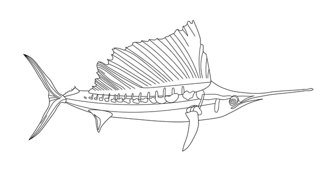 long-snouted sea needle, Swordfish, antistress fish coloring page. Sea life. Undersea world.
