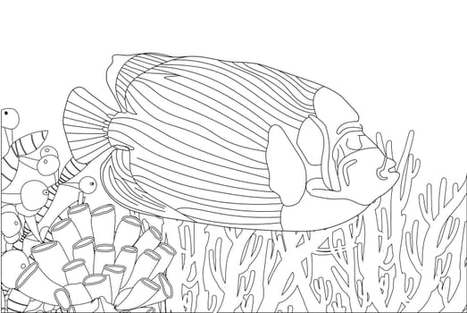 Fish exotic coloring. Antistress coloring page. Sea creatures. Ocean fish. illustration.