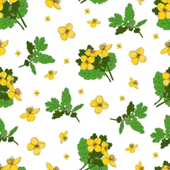 Celandine. Medicinal herbs and flowers. Seamless yellow flowers pattern on a white background.