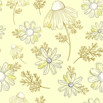 Vintage floral pattern. Wildflowers pattern. Old Texura. beige background, white flowers. Adonis, Echinacea Chamomile illustration