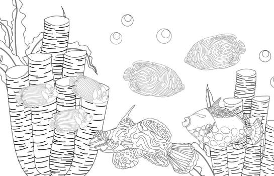 Coloring page fish. Sea life. Undersea world. illustration