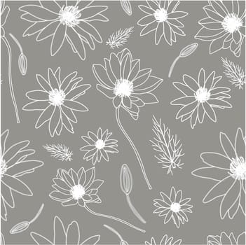 White flowers on a gray background. adonis flower. medicinal plants and herbs. Summer light floral seamless pattern.