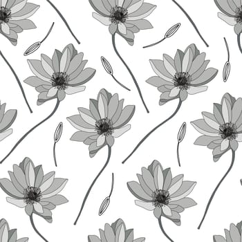Astragalus illustration on a white background. Linear gerbera pattern. Flower coloring book. seamle