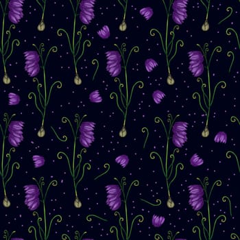 Fritillaria plant. botanical illustration. Fritillaria Medical plants