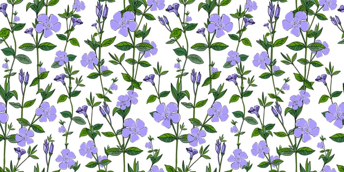 V nca m nor Fritillaria. Pattern for textile and fabric. Little blue flowers on a white background. Periwinkle, cornflower. Wildflowers. Shabby style chic, provence.