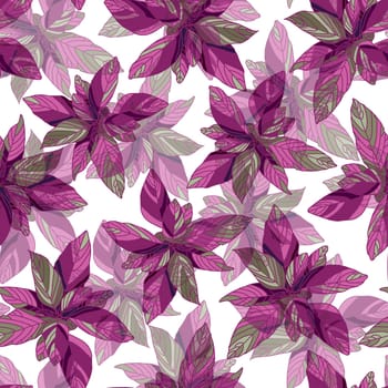 Amaranth pattern. Bright summer flower pattern. Purple. illustration. Botanical illustration.