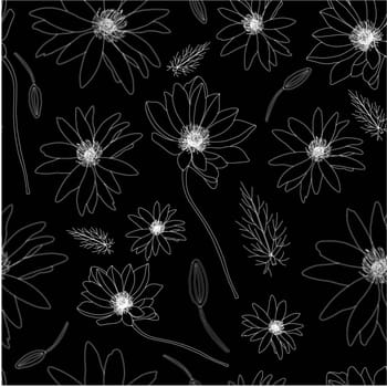 illustration. Botanical illustration.
