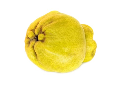 Quince On White, close up of fruit on white background