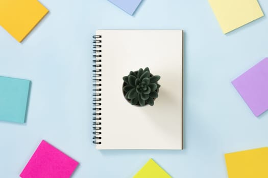 Spiral Notebook or Spring Notebook in Unlined Type and Multi Color Sticky Note and Kalanchoe or Succulents Plant on Blue Pastel Minimalist Background. Spiral Notebook Mockup on Center Frame