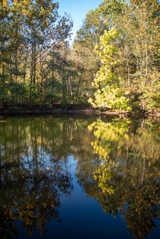 Yellows and oranges are stunning against the water, tranquil calm nature background scene with copy space.