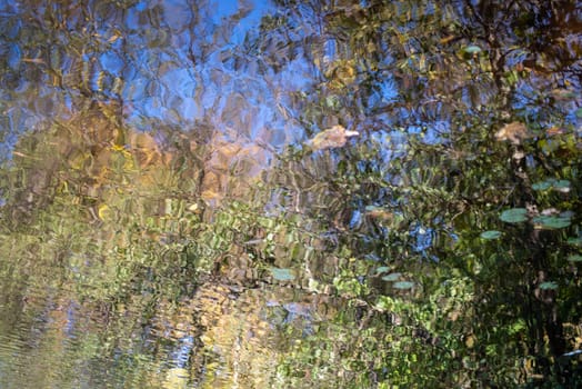Beautiful abstracy autumn colors ripple and flow in the forest lake. Trippy image with texture and copy space.