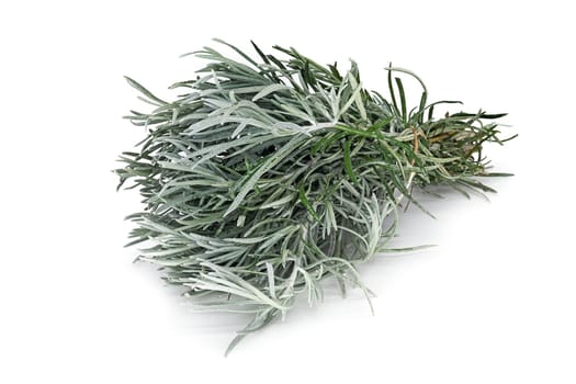 Rosemary, close up of scented herb on white background