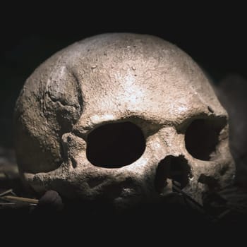 Old skull. Real human skull on dark background. Vintage black background.