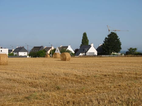 Home behind a harvested field