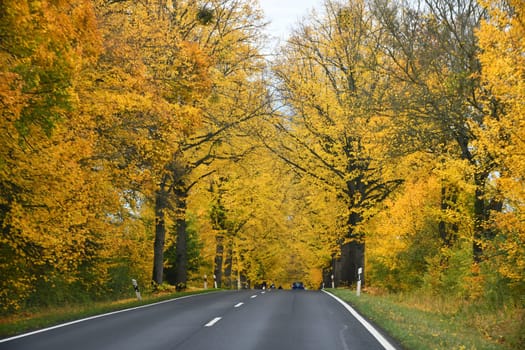 federal road