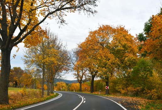 federal road