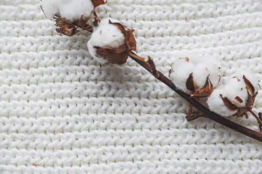 Cotton Flower with knitted cap and scarf, flat lay on marble background, winter style