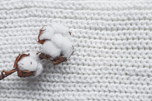 Cotton Flower with knitted cap and scarf, flat lay on marble background, winter style