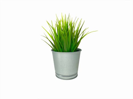 Green Plant Interior of grass decoration or fake plant isolated on white background