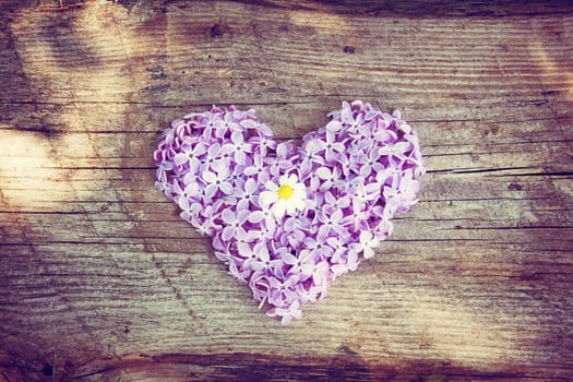 Heart shaped flowers on old wooden board