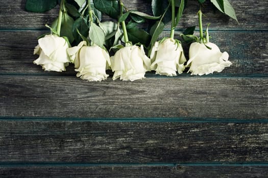 white roses on old weathered wooden background