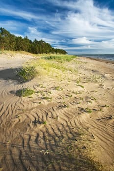 Sand dunes at evening light in summer