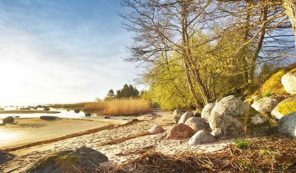 view to the seaside in early spring