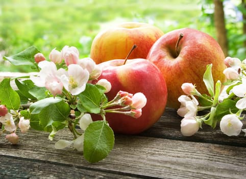 Apple with flowers on wooden board outdoors