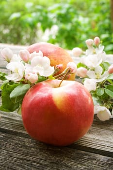 Apple with flowers on wooden board outdoors
