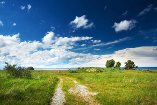 Road on the coast near a seaside on summer day