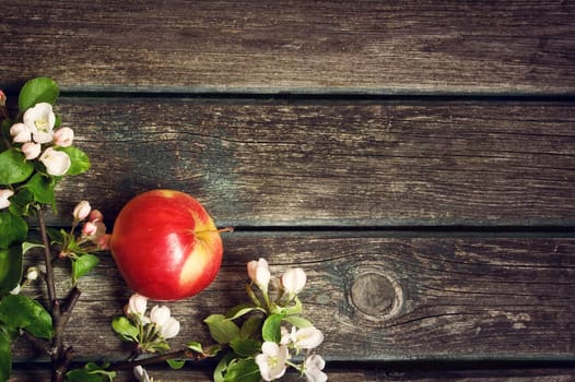 red apples with flowers on old wooden board