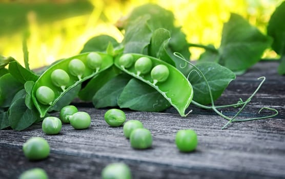 fresh ripe peas on old wooden background